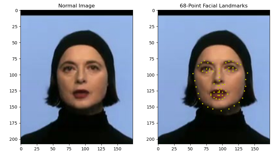 Building-a-68-Facial-Keypoint-Detection-with-PyTorch